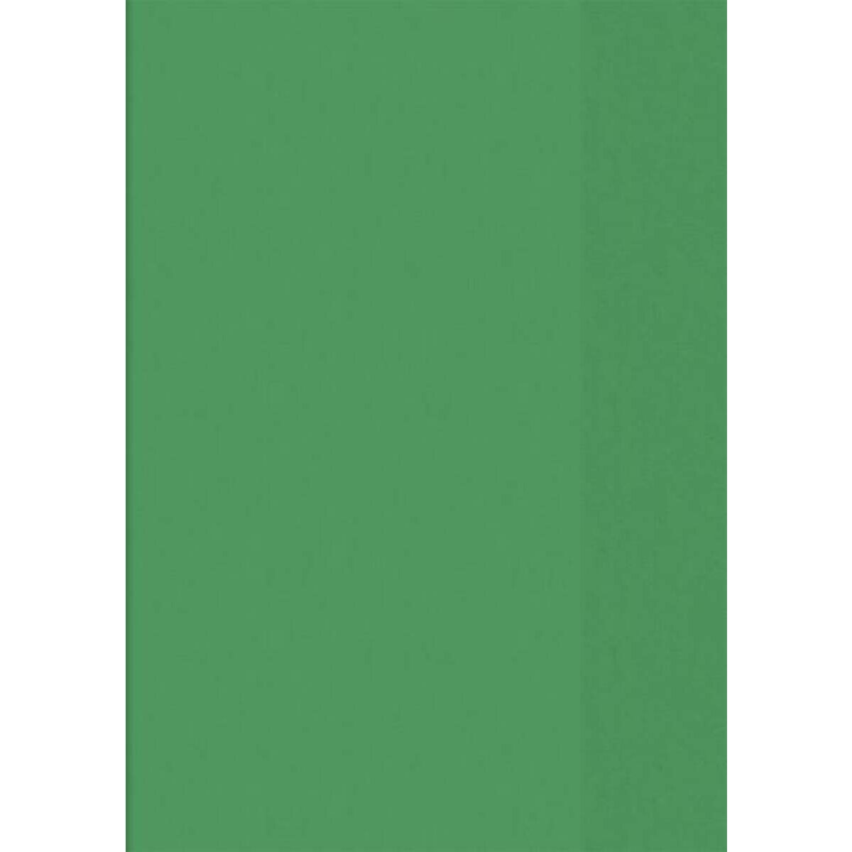 BRUNNEN Hefthülle A4, transparent grün