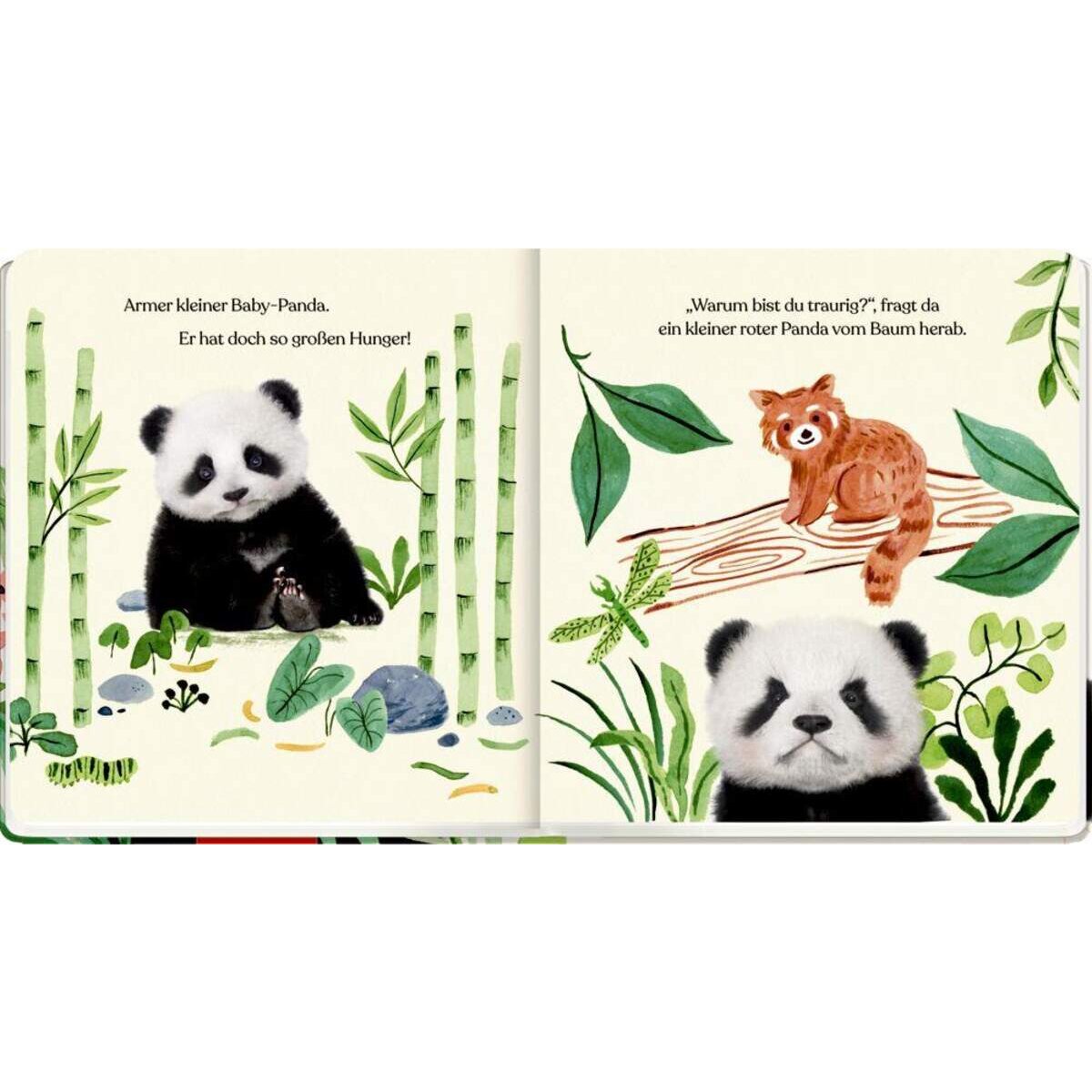 Coppenrath Verlag Meine erste Tierbaby-Geschichte: Kleiner Panda