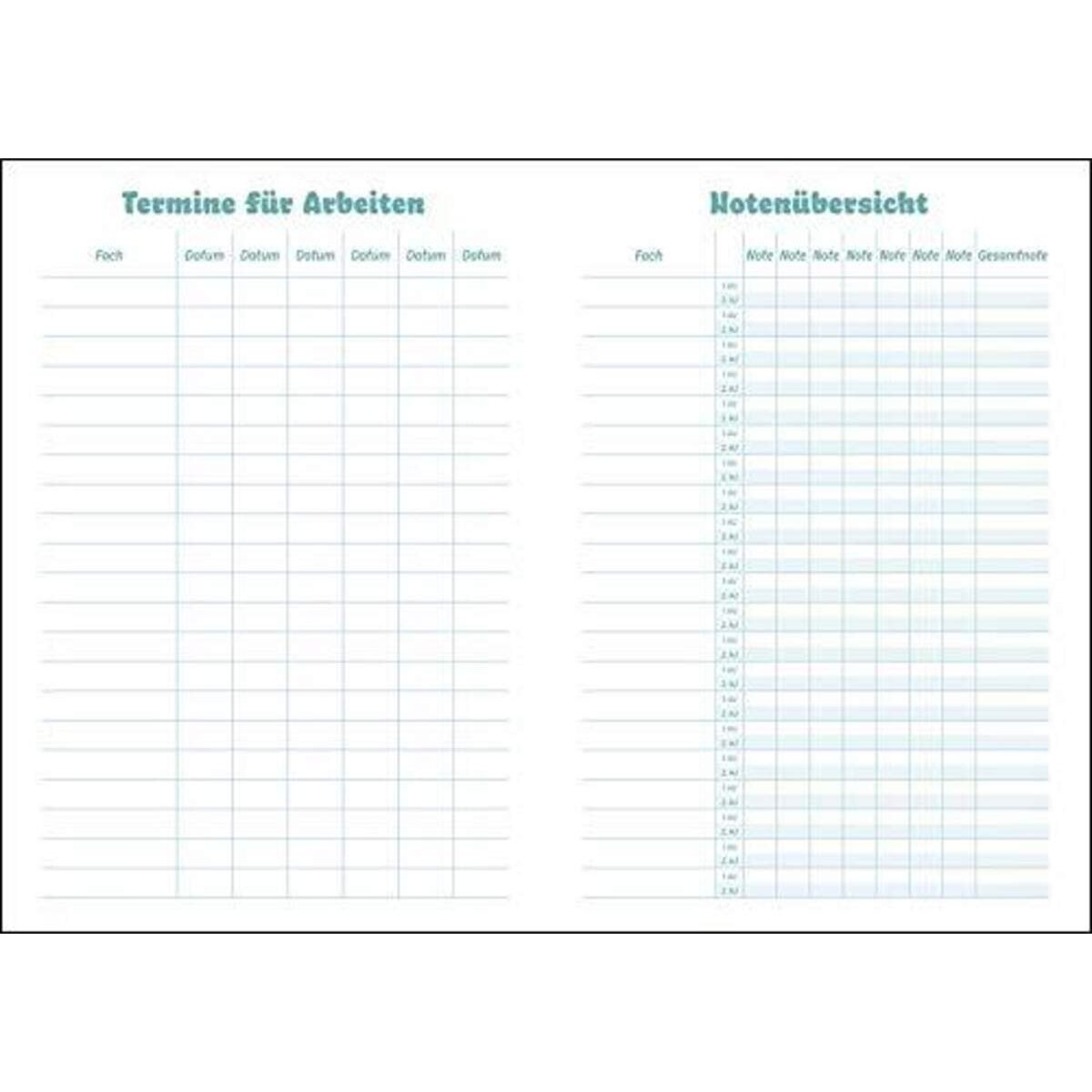 Heye Schülerkalender Stern, A5, 2020 bis 2021