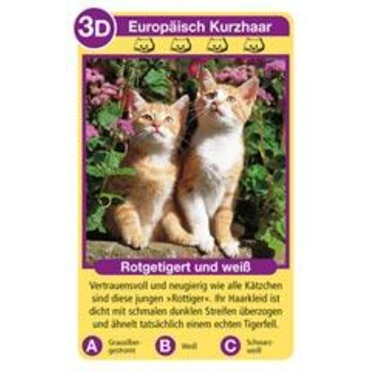 Ravensburger Katzen Tier-Quartett