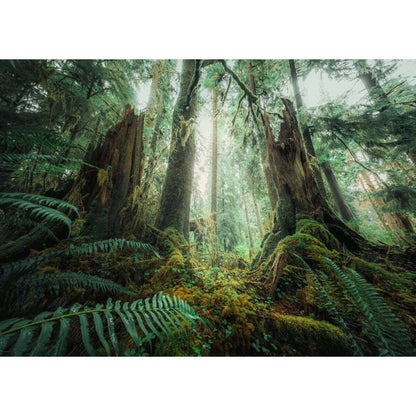 Ravensburger Puzzle - Faszinierender Wald, 1000 Teile